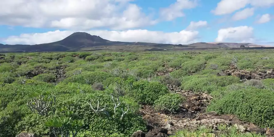 Natural Monument of La Corona