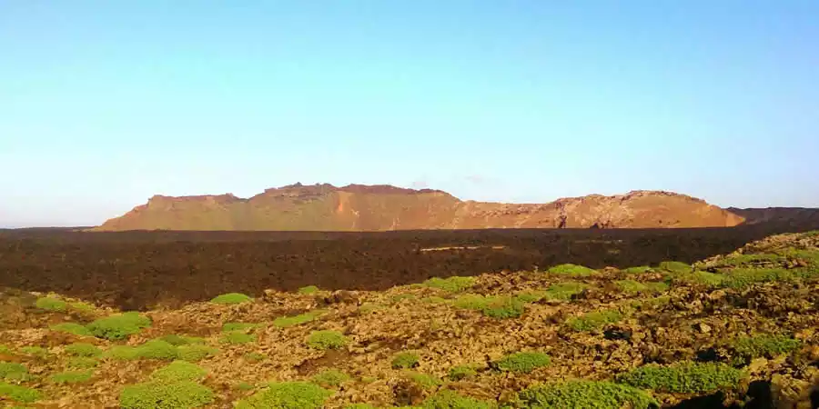 Islote de Halcones Natural Monument