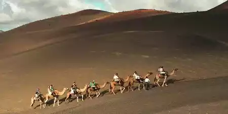 Book your activities