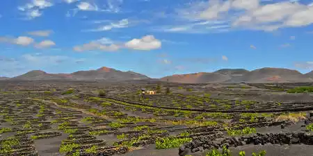 La Geria Protected Landscape