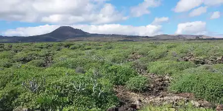 Natural Monument of La Corona