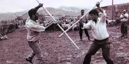 Palo Canario in Lanzarote