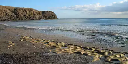 El Afre Beach (Coloradas)