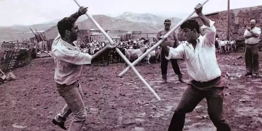 Palo Canario in Lanzarote